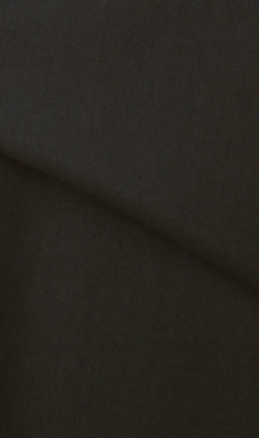 スタイリッシュスーツ《キング&トール》《ツーパンツ》《黒無地》 ブラック 体型:E体(大きいサイズ),号数（身長）:3号(160cm)