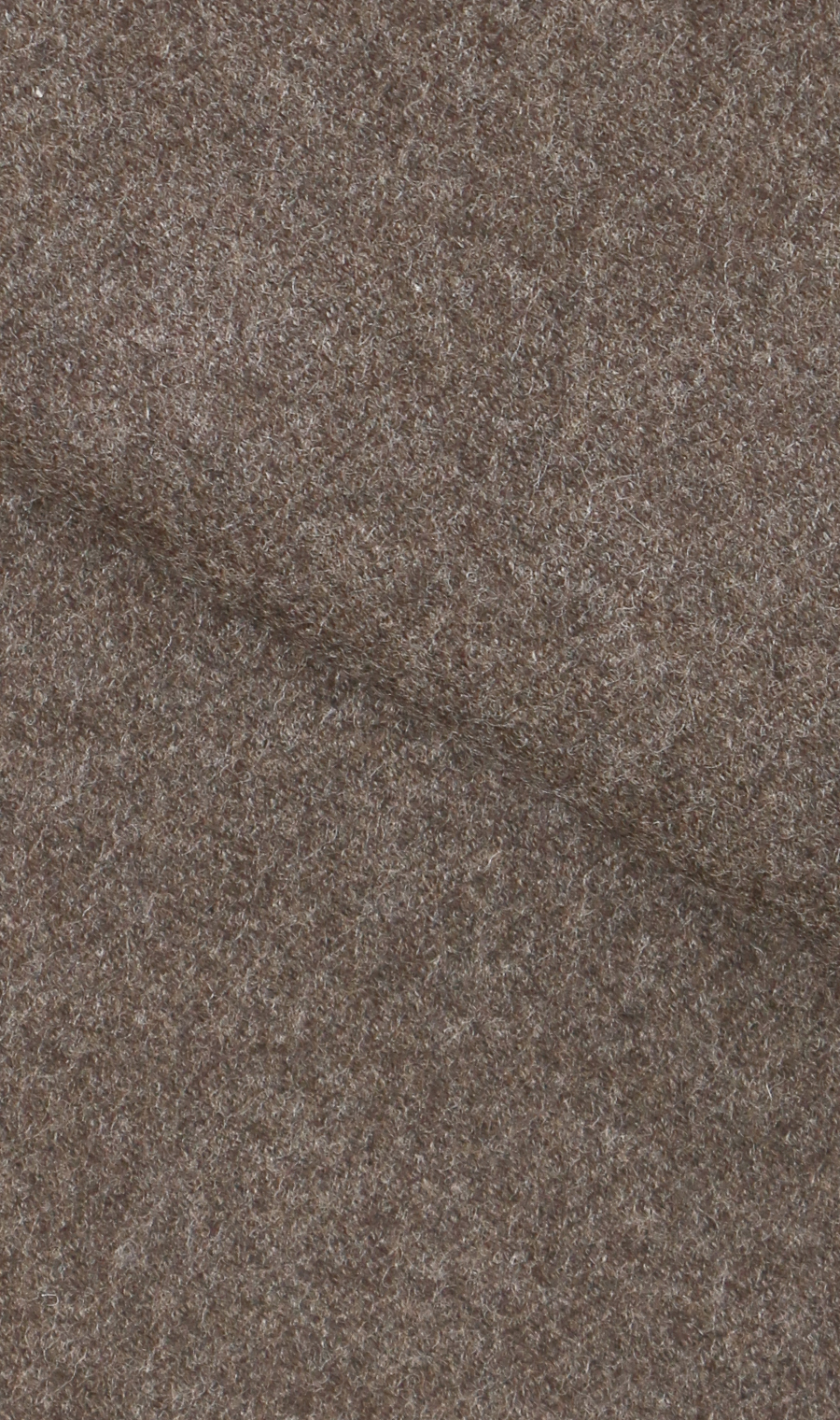 高级时尚夹克 【Loro Piana FAVOLA】 【TOGA MODEL】 【2025年款】 棕色S