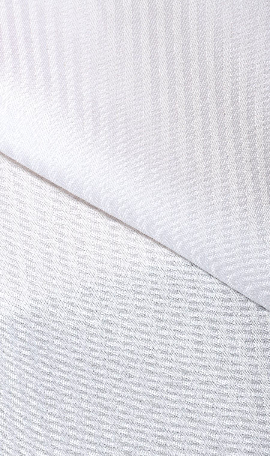 ボタンダウンスタイリッシュワイシャツ【NON IRONMAX】 ホワイト 首周り:37cm,裄丈:78cm