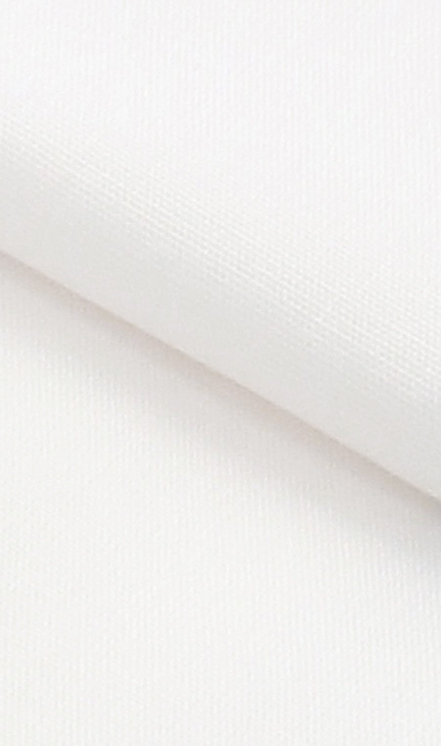 ワイドカラーワイシャツ【キング＆トール】【COTTON100】 ホワイト 首周り:45cm,裄丈:84cm