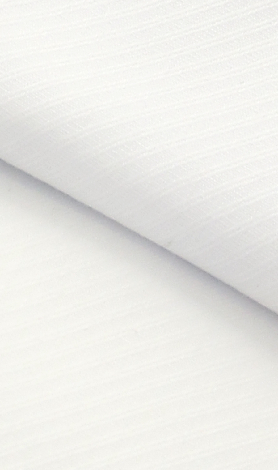 ワイドカラースタイリッシュワイシャツ《TioTio PREMIUM》 ホワイト 首周り:37cm,裄丈:82cm