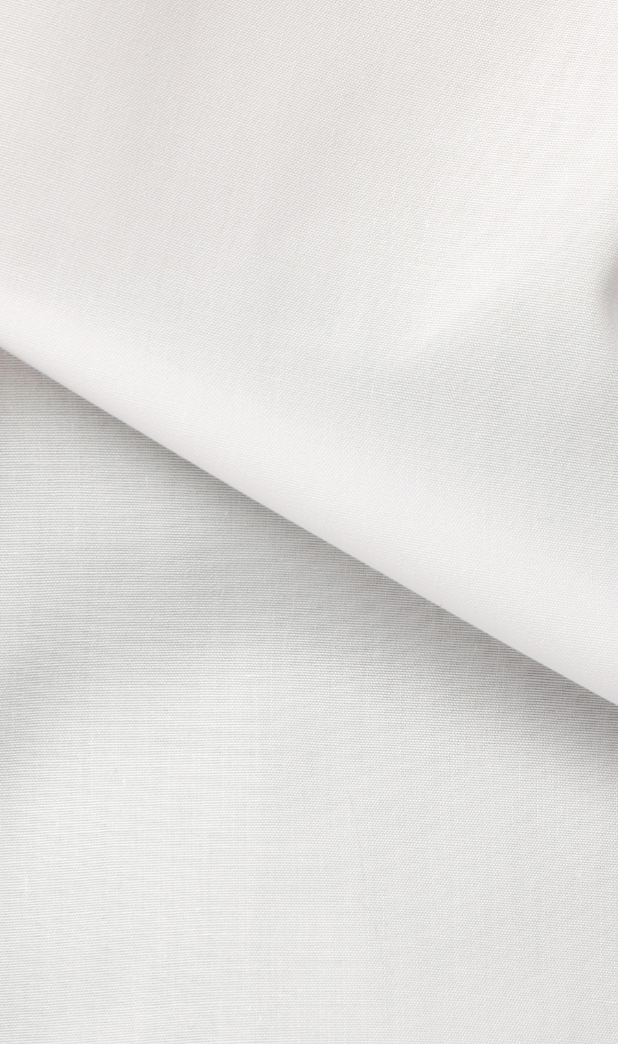 ■標準領時尚襯衫 【NON IRONMAX】 【白色素色】 白色頸圍:37cm,袖長:78cm