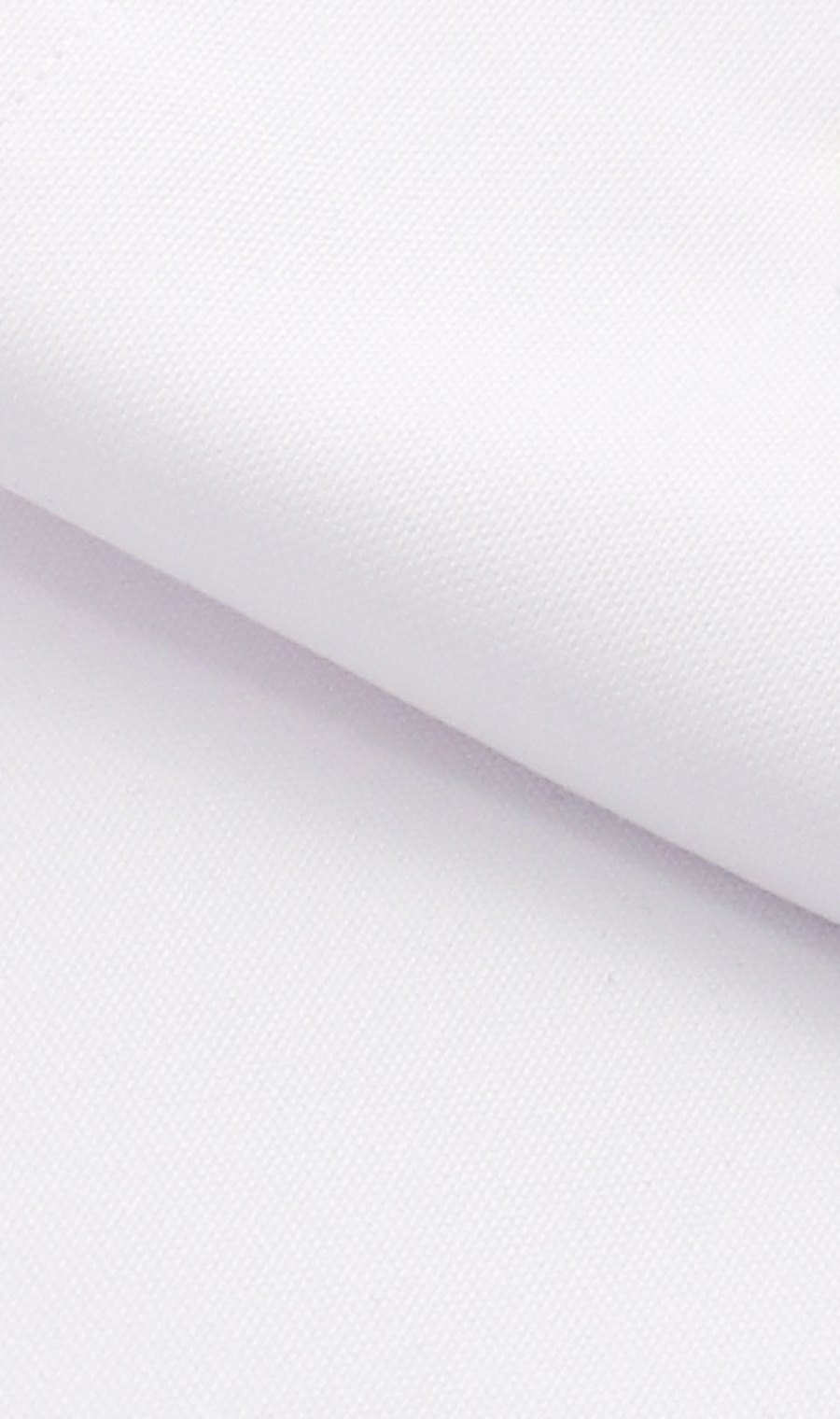 ボタンダウンスタンダードワイシャツ ホワイト 首周り:39cm,裄丈:80cm