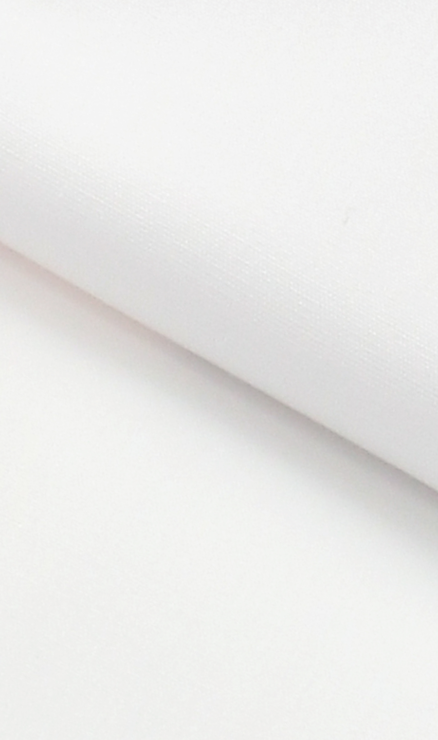 レギュラーカラースタンダードワイシャツ【キング&トール】【COTTON∞】 ホワイト 首周り:44cm,裄丈:78cm