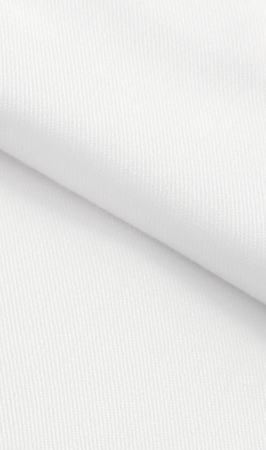 レギュラーカラースタンダードワイシャツ【キング&トール】【COTTON∞】 ホワイト 首周り:44cm,裄丈:94cm