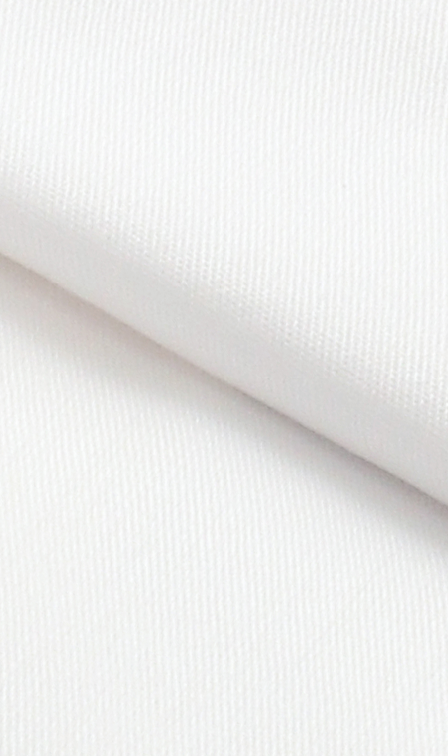 レギュラーカラースタンダードワイシャツ【キング&トール】【COTTON∞】 ホワイト 首周り:44cm,裄丈:90cm