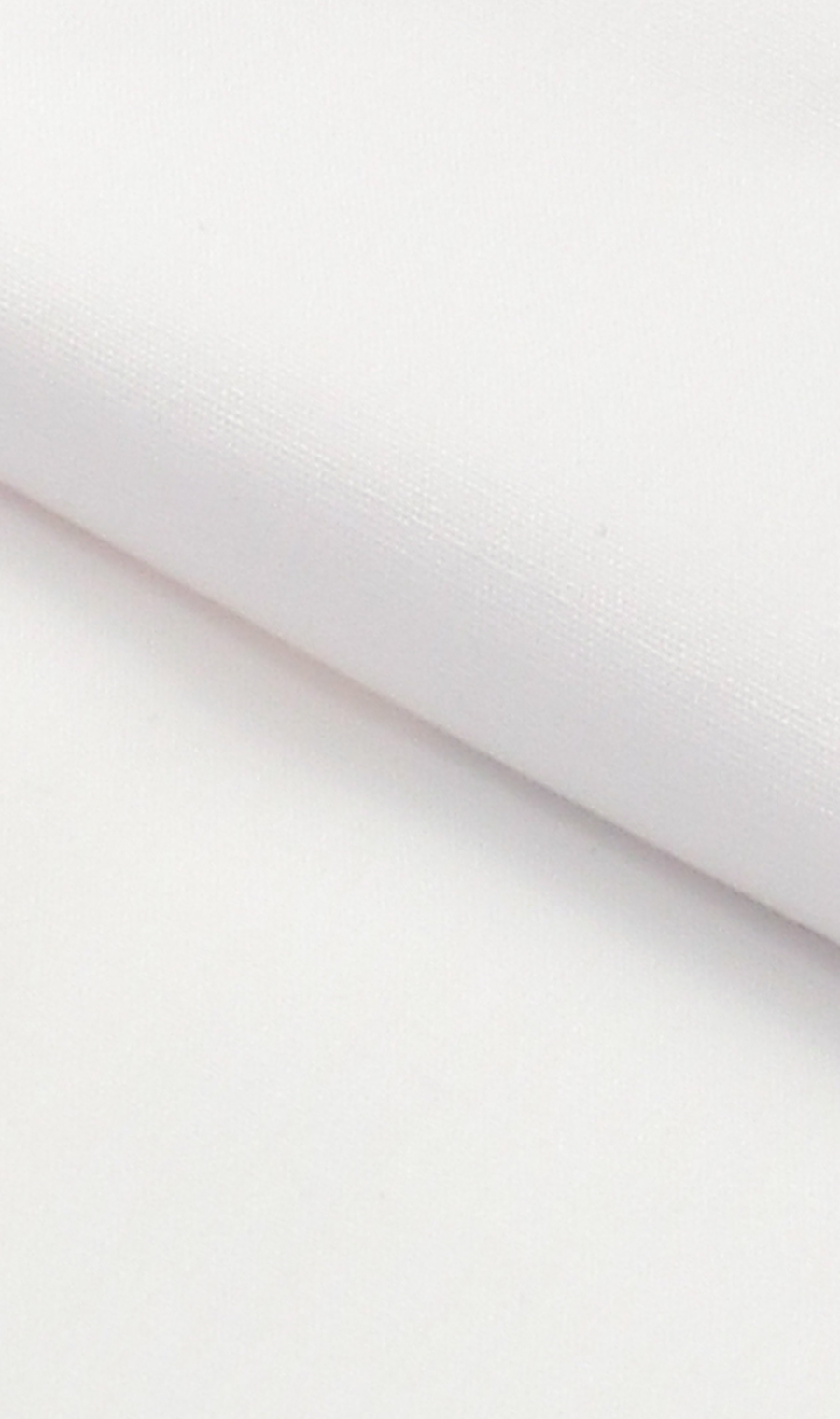 レギュラーカラースタンダードワイシャツ【トール】【COTTON∞】 ホワイト 首周り:41cm,裄丈:90cm