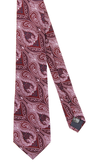 プレミアムレギュラータイ【THE PAISLEY】