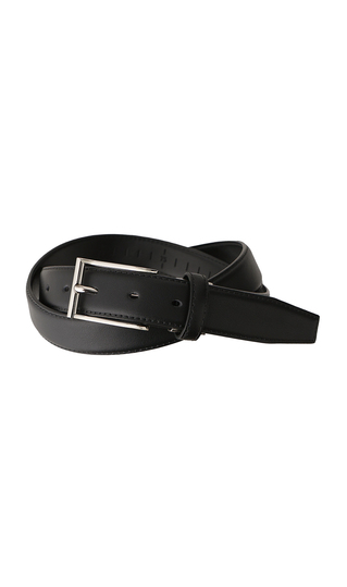 Pin buckle curved belt