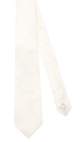 ■Formal tie [for celebrations] [SOLOTEX] [Plastics Smart]