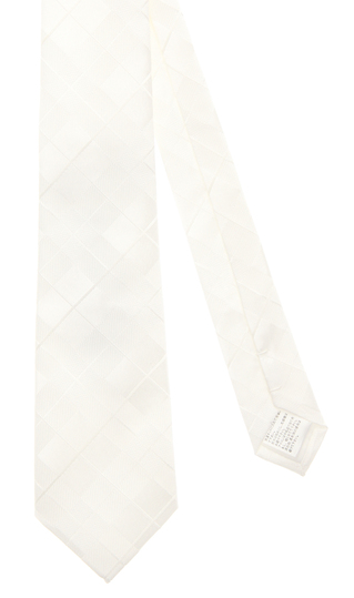 ■フォーマルタイ【慶事用】【SOLOTEX】【Plastics Smart】