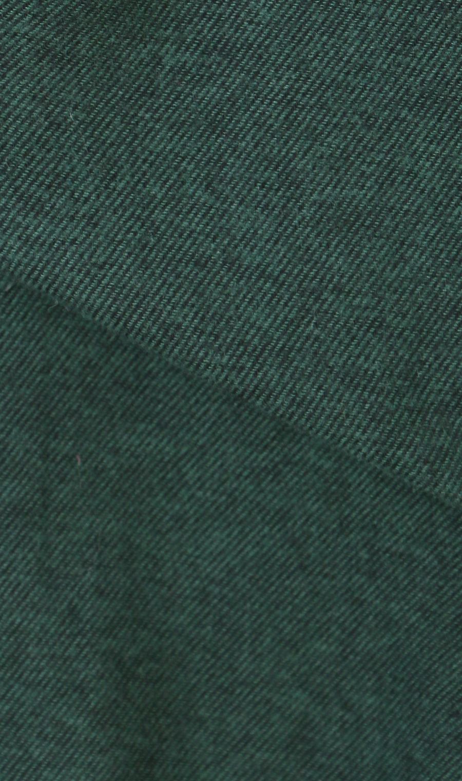 両面起毛ツイルボタンダウンシャツ【BEVERLY HILLS POLO CLUB】 グリーン M