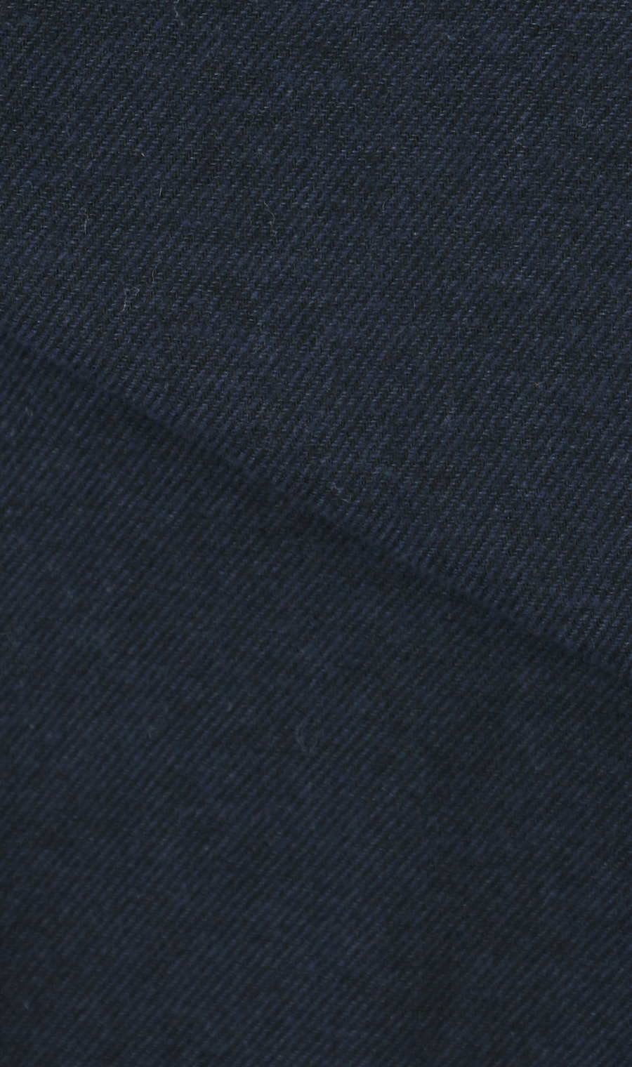 両面起毛ツイルボタンダウンシャツ【BEVERLY HILLS POLO CLUB】 ネイビー M