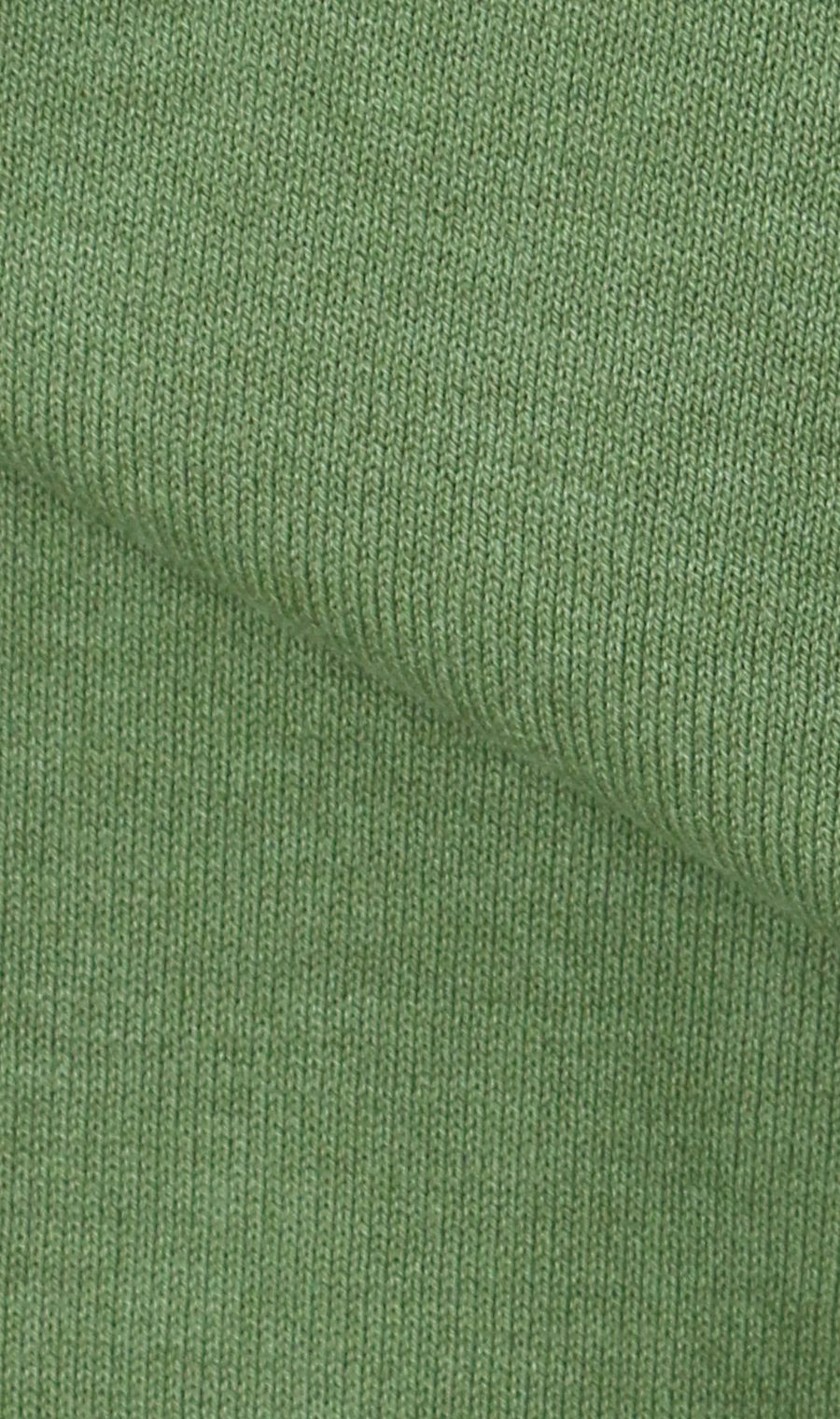 コットンコーデュラ半袖ニットＴ【オペラネック】【WEB限定】 グリーン S