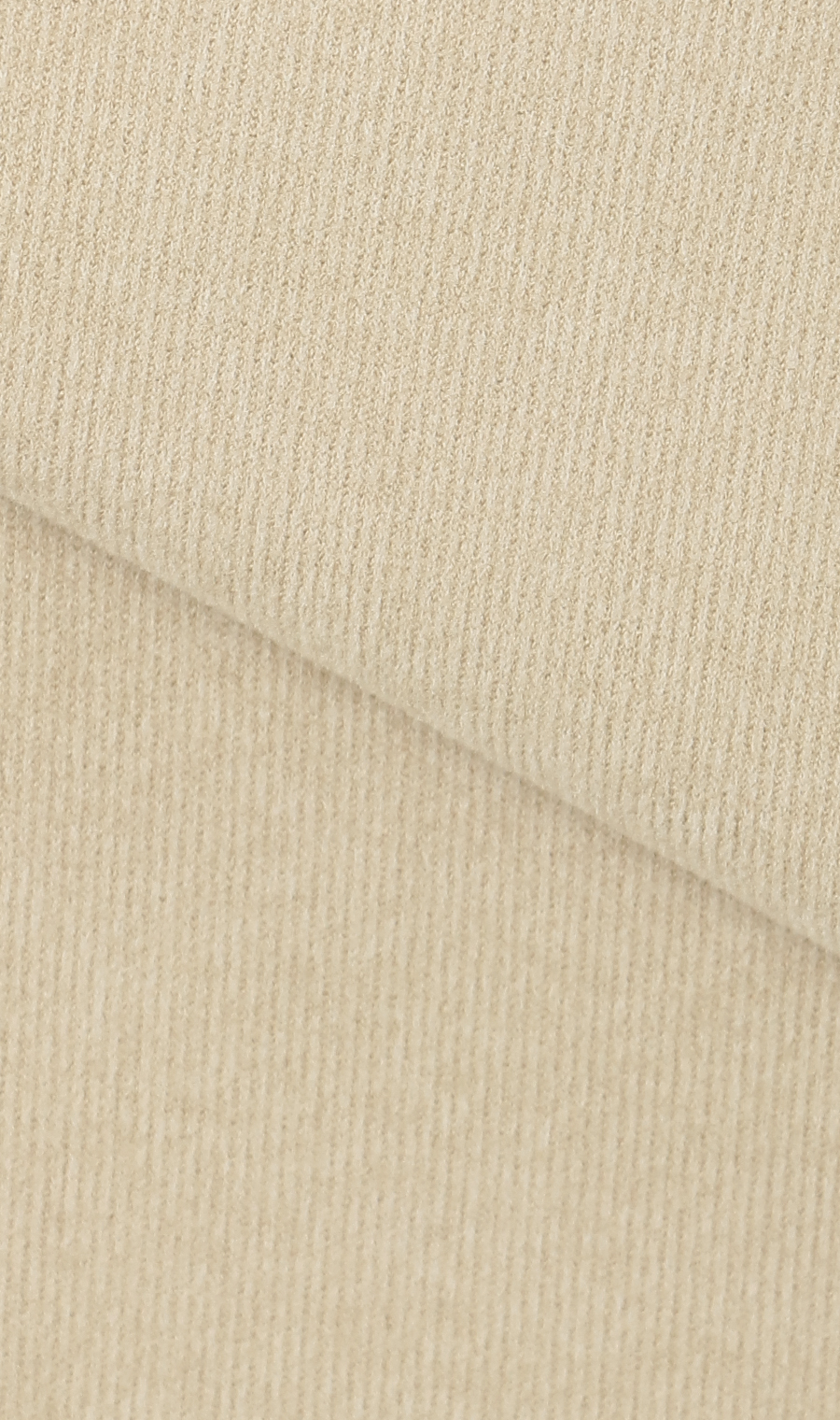 ほかリッチもちもち起毛ハイネックTシャツ ベージュ S