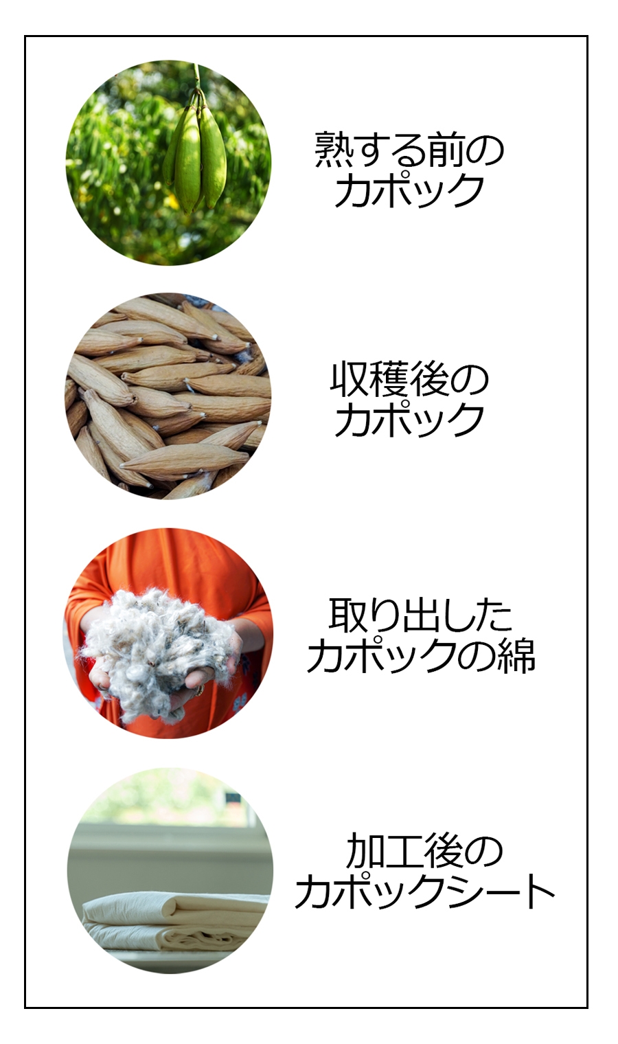 【訳アリ商品】カジュアルパンツ【カポック】【WEB限定】【裾上げ済み】 ブラック LL