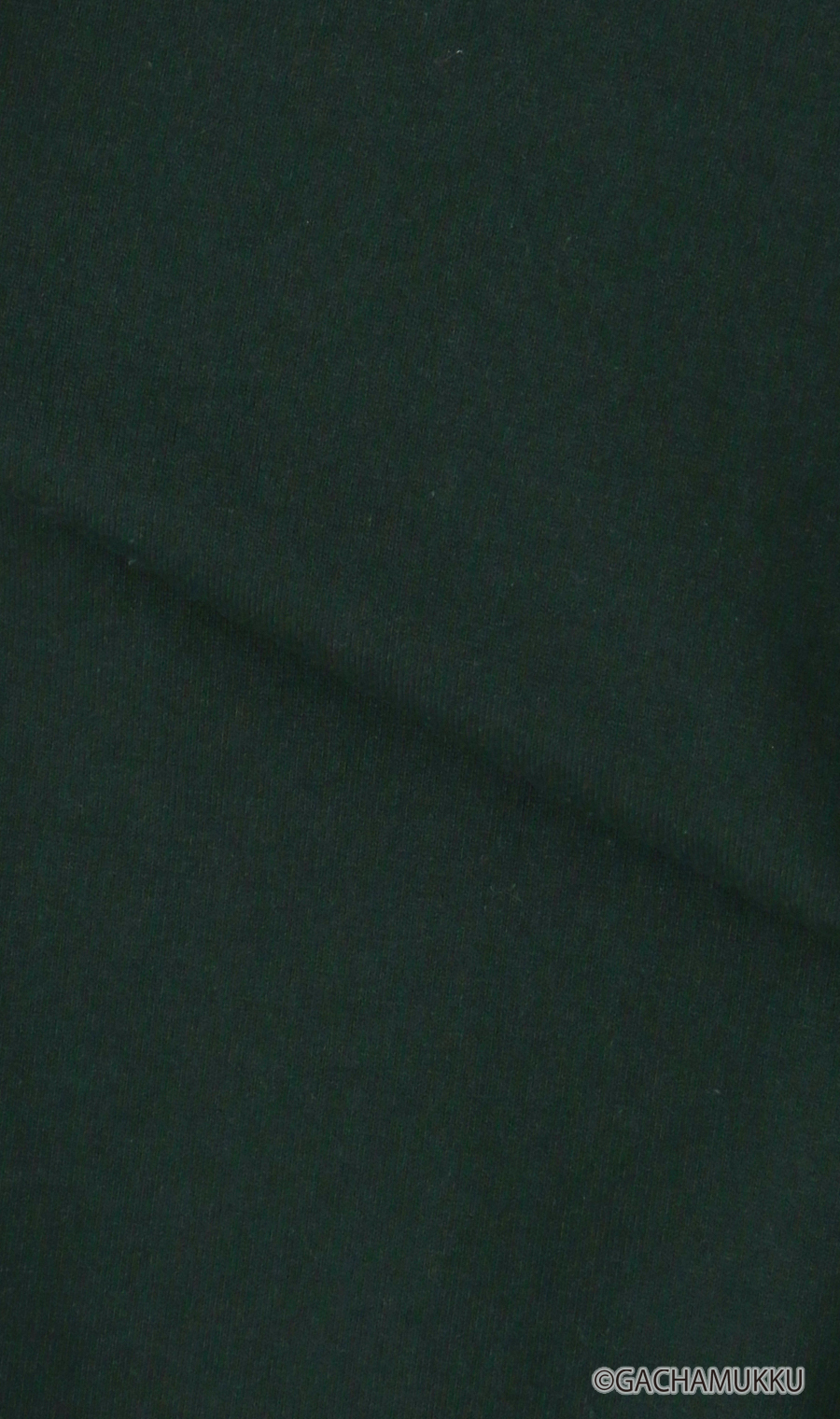 キャラクターTシャツ【GACHAPIN&MUKKU】【男女兼用】 グリーン S