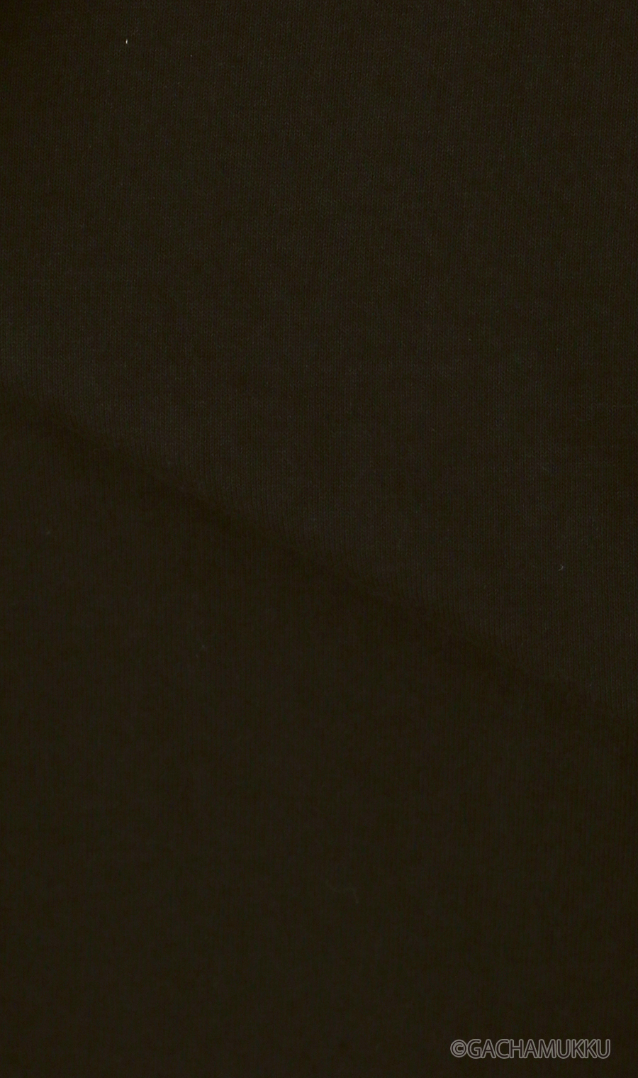 キャラクターTシャツ【GACHAPIN&MUKKU】【男女兼用】 ブラック S