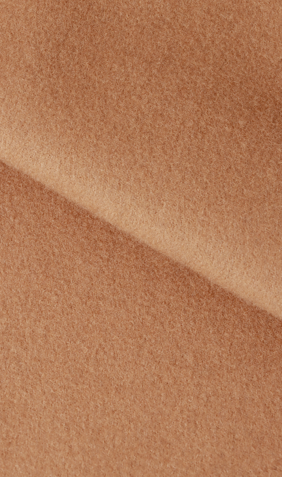 ベルト付きビックカラーコート【カシミヤ混ウール】【WEB限定】 ベージュ L