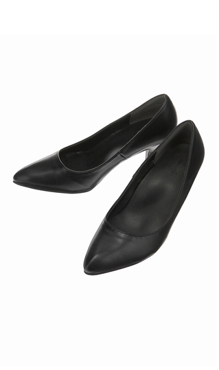 Pointed toe pumps [1E]