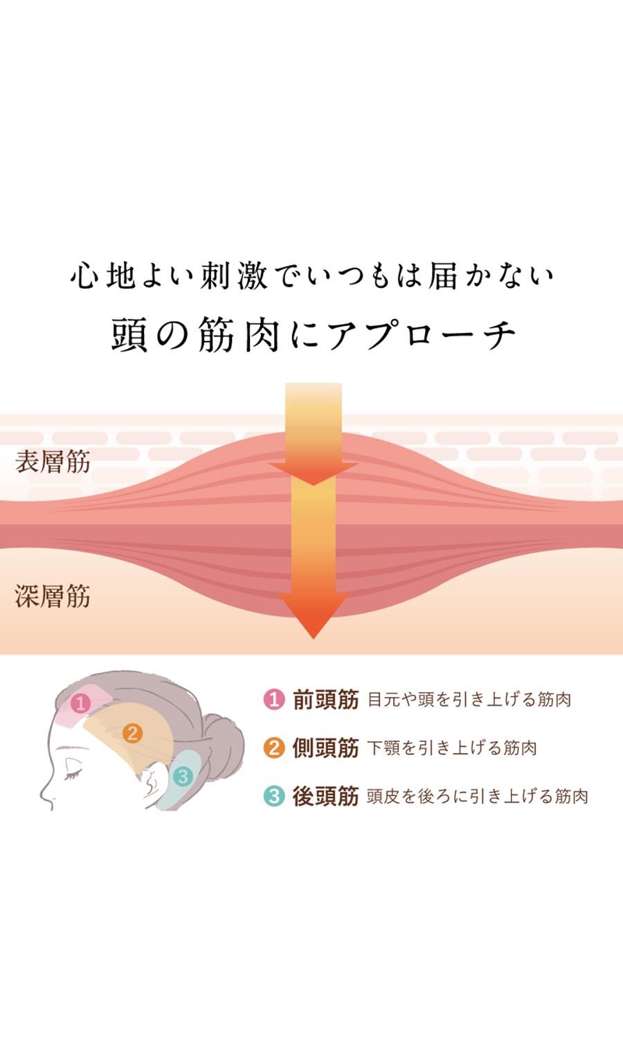 ▼■NIPLUX CORILAX【WEB限定】 グレー 0