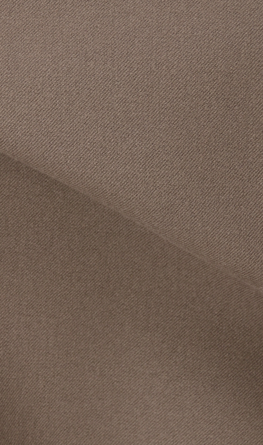 2ボタンテーラードジャケット《セットアップ着用可》《WEB限定》 ブラウン M