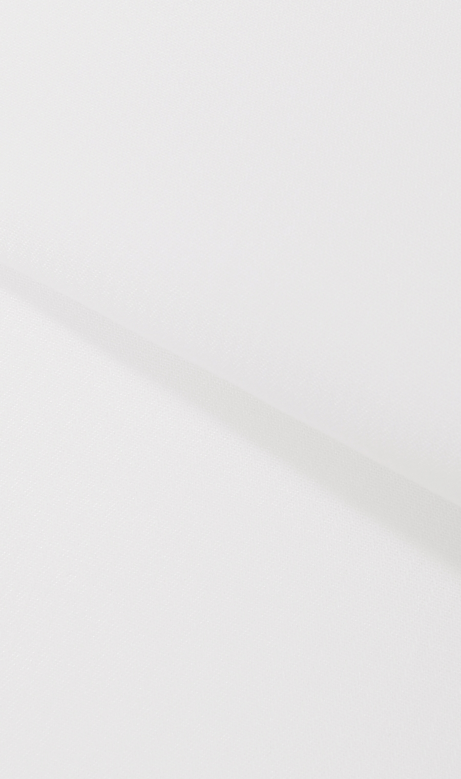 レギュラーカラーブラウス《クイーン》《長袖》《NON IRONMAX》 ホワイト 29