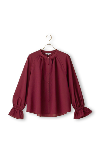 Sheer blouse (long sleeves)