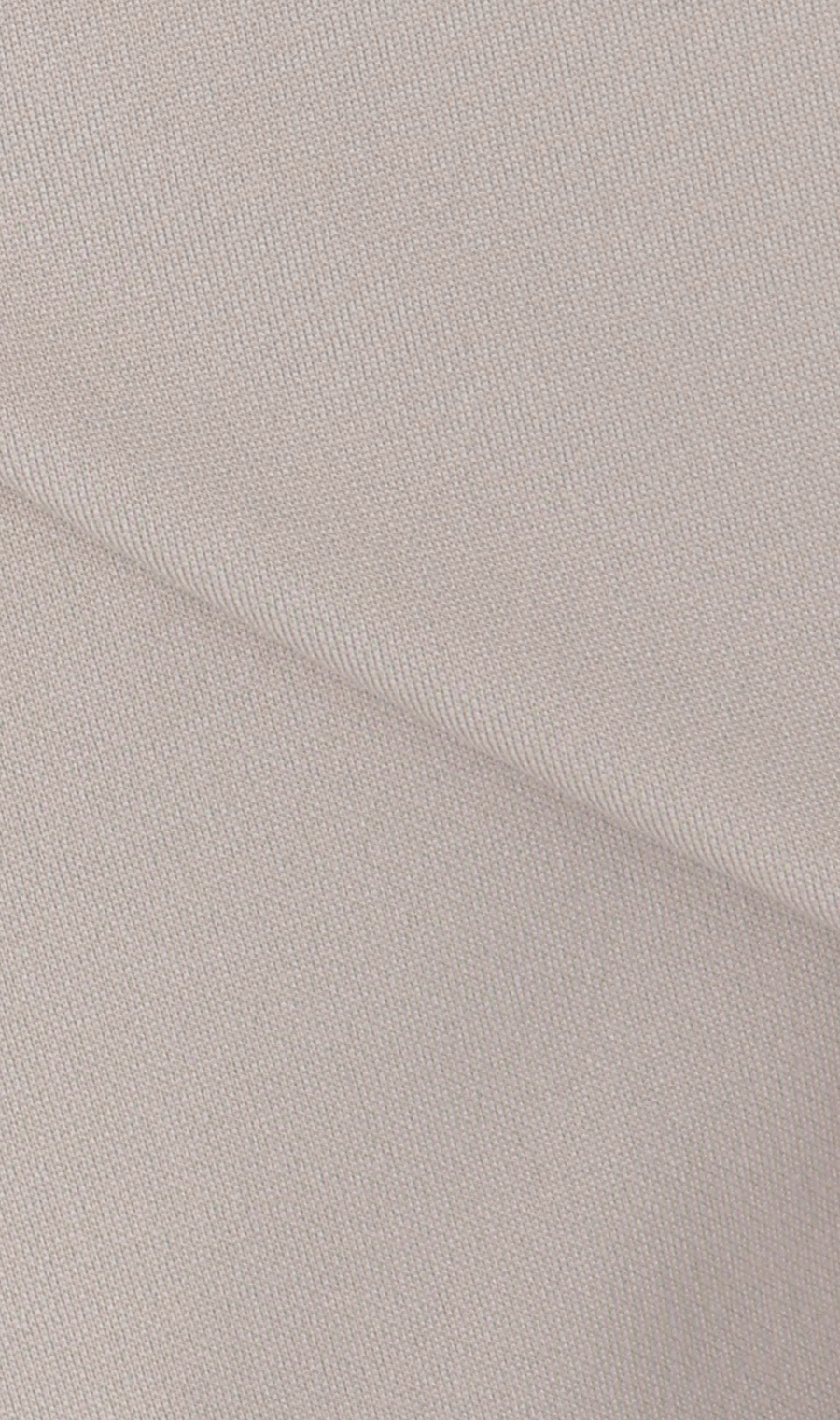 透けないカットソー【フレンチスリーブ】【クルーネック】【＃すご】【WEB限定サイズあり】 グレージュ S